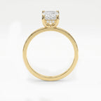 Luster Veil Radiant Hidden Halo Ring