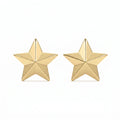 Shine Bright with Star Emblem Fashion Earrings